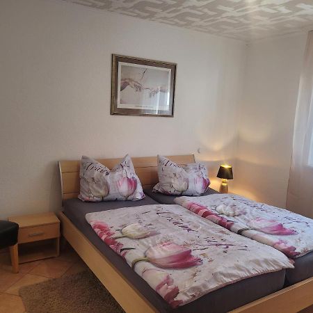 Ferienwohnung Jasmin In Schoenau Bei Heidelberg Fewo 2 Schonau  Bagian luar foto
