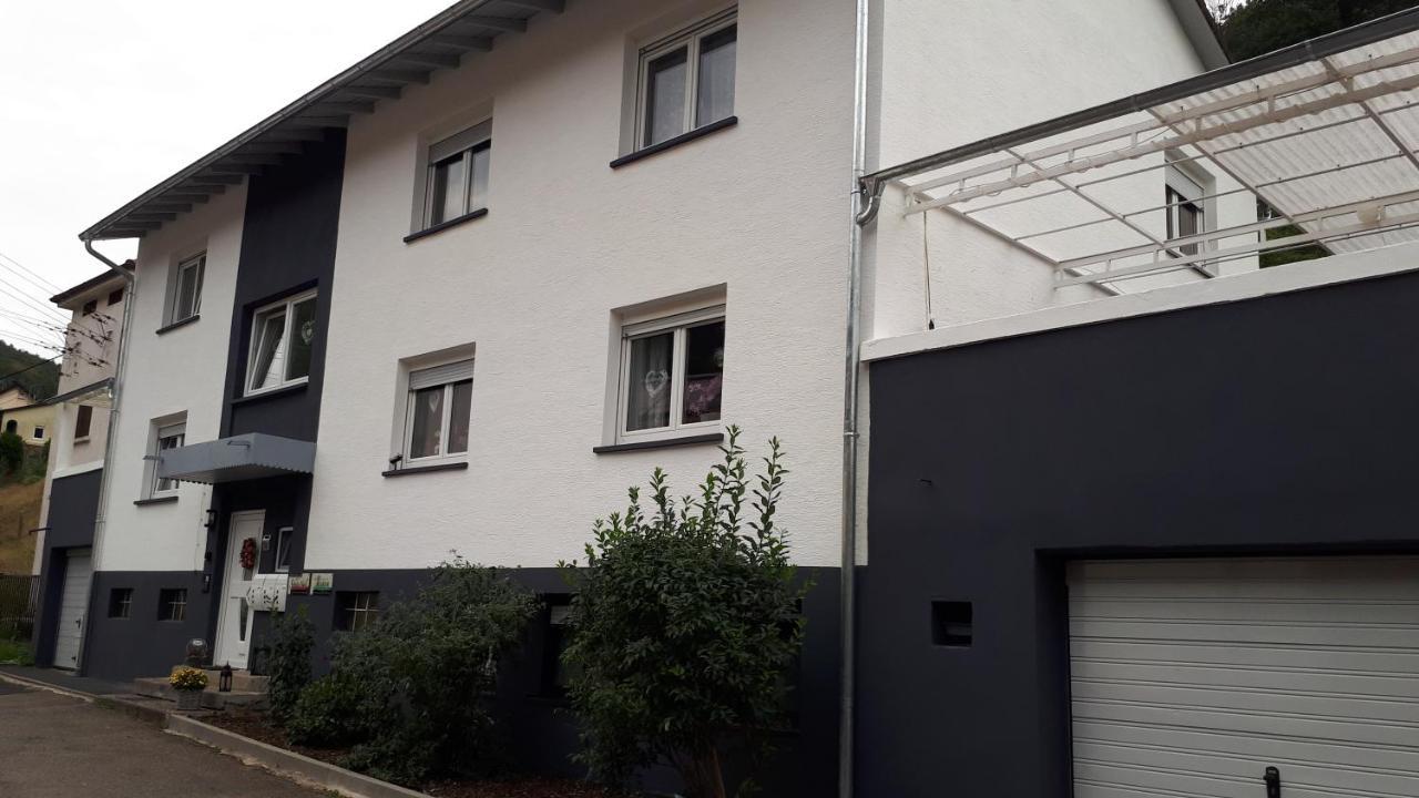 Ferienwohnung Jasmin In Schoenau Bei Heidelberg Fewo 2 Schonau  Bagian luar foto