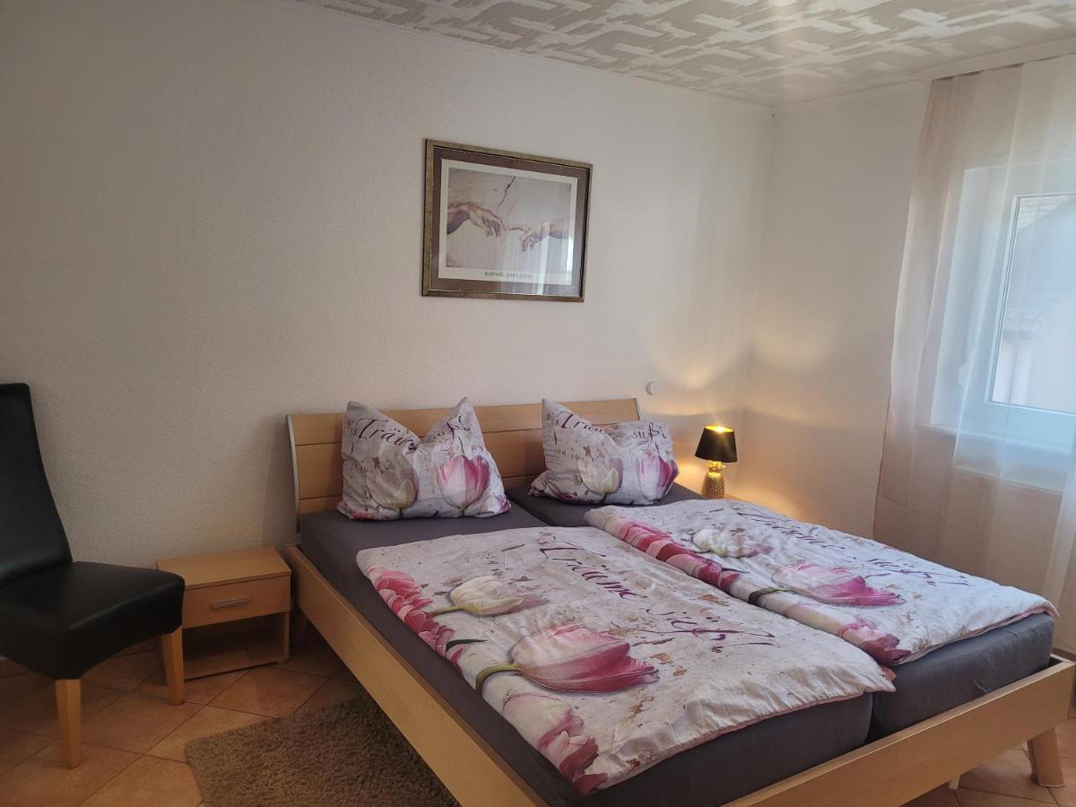 Ferienwohnung Jasmin In Schoenau Bei Heidelberg Fewo 2 Schonau  Bagian luar foto